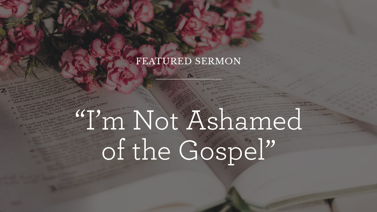 thumbnail image for “I’m Not Ashamed of the Gospel”