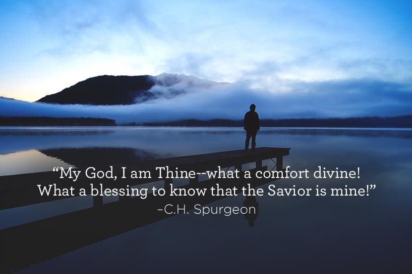 thumbnail image for Comfort Divine