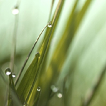 thumbnail image for Fill Us Afresh : Wallpaper