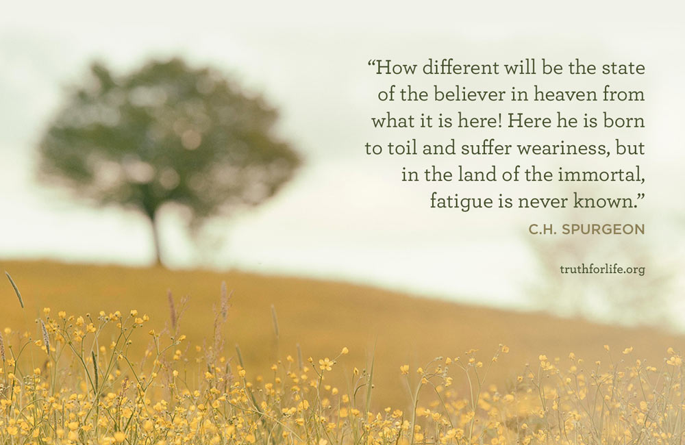 thumbnail image for State of the Believer: Wallpaper